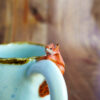 Mug porcelaine "Ecureuil au chêne bleu" - Collection Habitée – Image 4