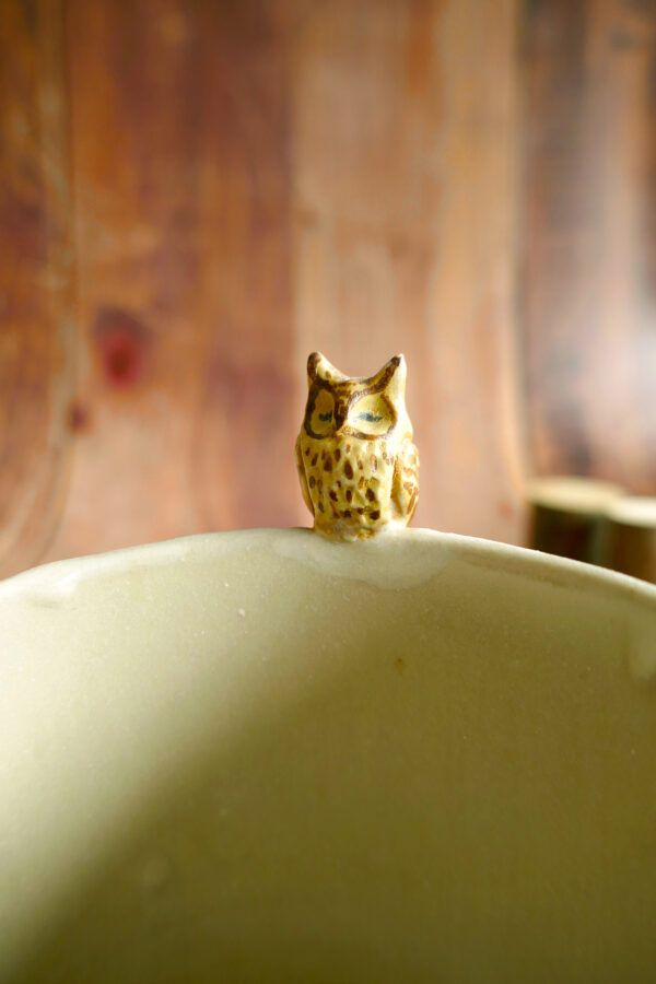 Petit planter + coupelle "Grand Duc" - Collection Habitée – Image 5