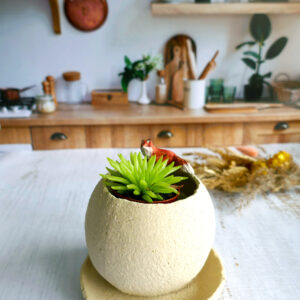 Planter rond + coupelle Renard - Collection Habitée