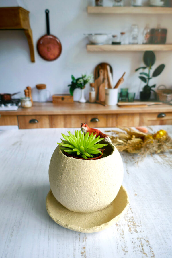 Planter rond + coupelle Renard - Collection Habitée