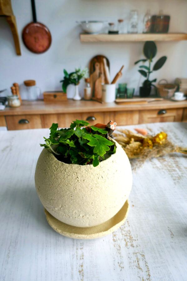 Grand Planter rond + coupelle Renard - Collection Habitée