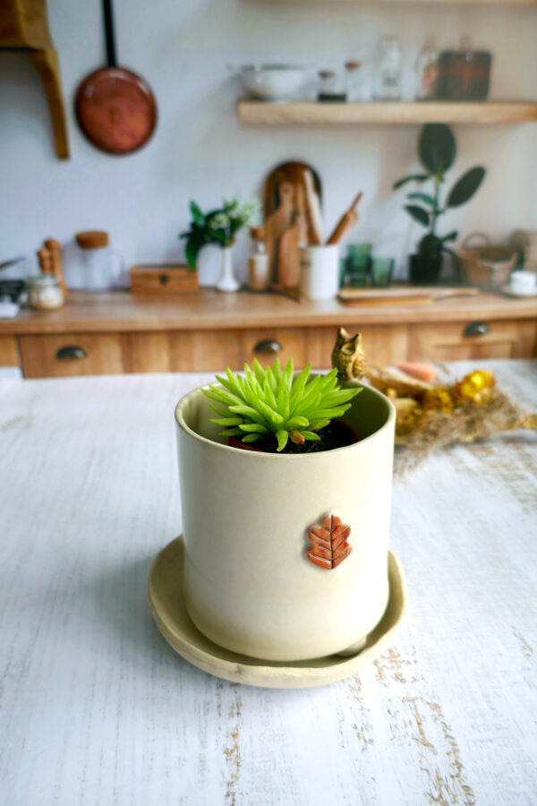 Petit planter + coupelle "Grand Duc" - Collection Habitée