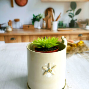 Petit planter + coupelle "Hermine & Edelweiss" - Collection Habitée