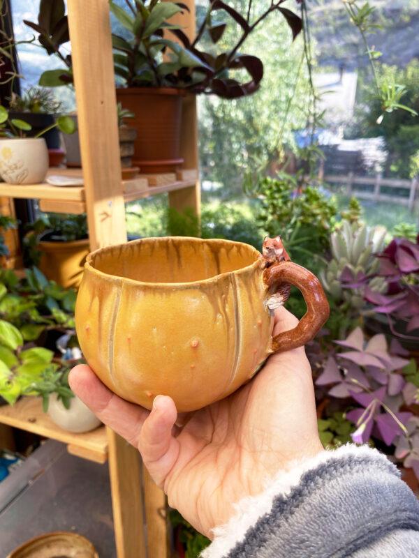 Précommande Pumpkin Mug habité - 45 cls