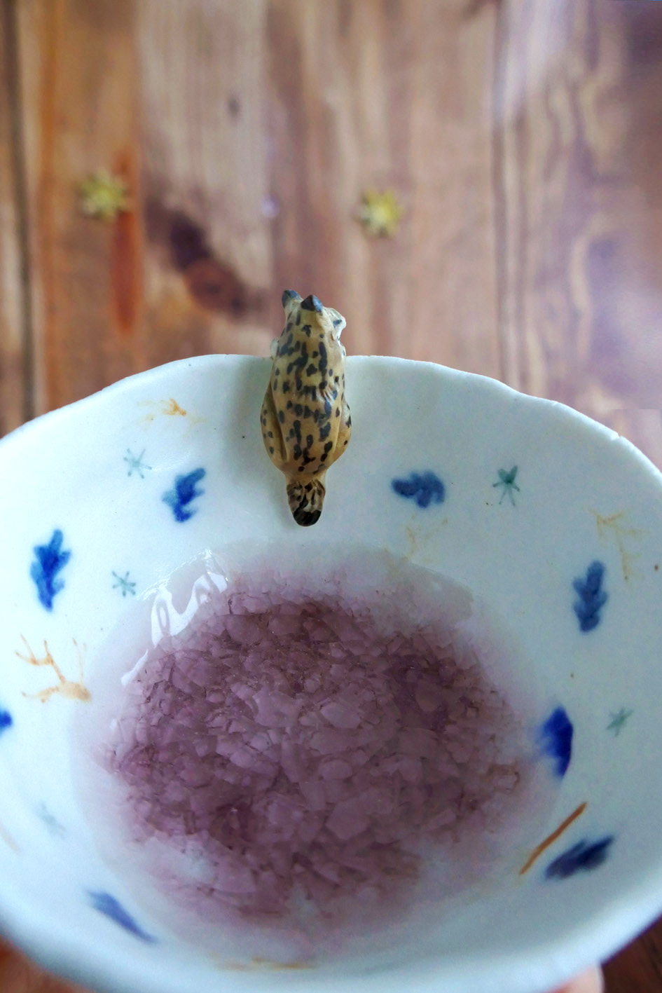 Petit bol pincé en porcelaine "Lynx d'Hiver"